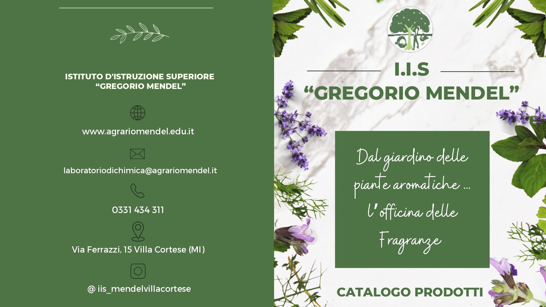 Catalogo_Prodotti_Mendel_Sito.jpg Catalogo_Prodotti_Mendel_Sito.jpg